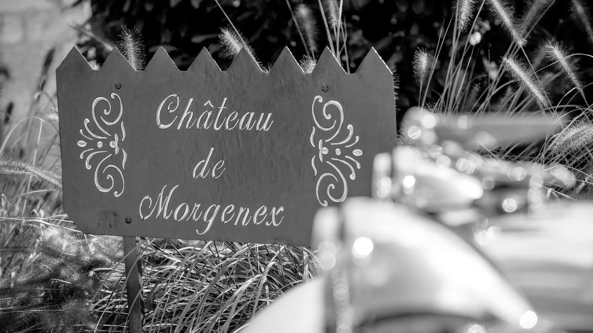 Chateau De Morgenex Vallières Frankreich